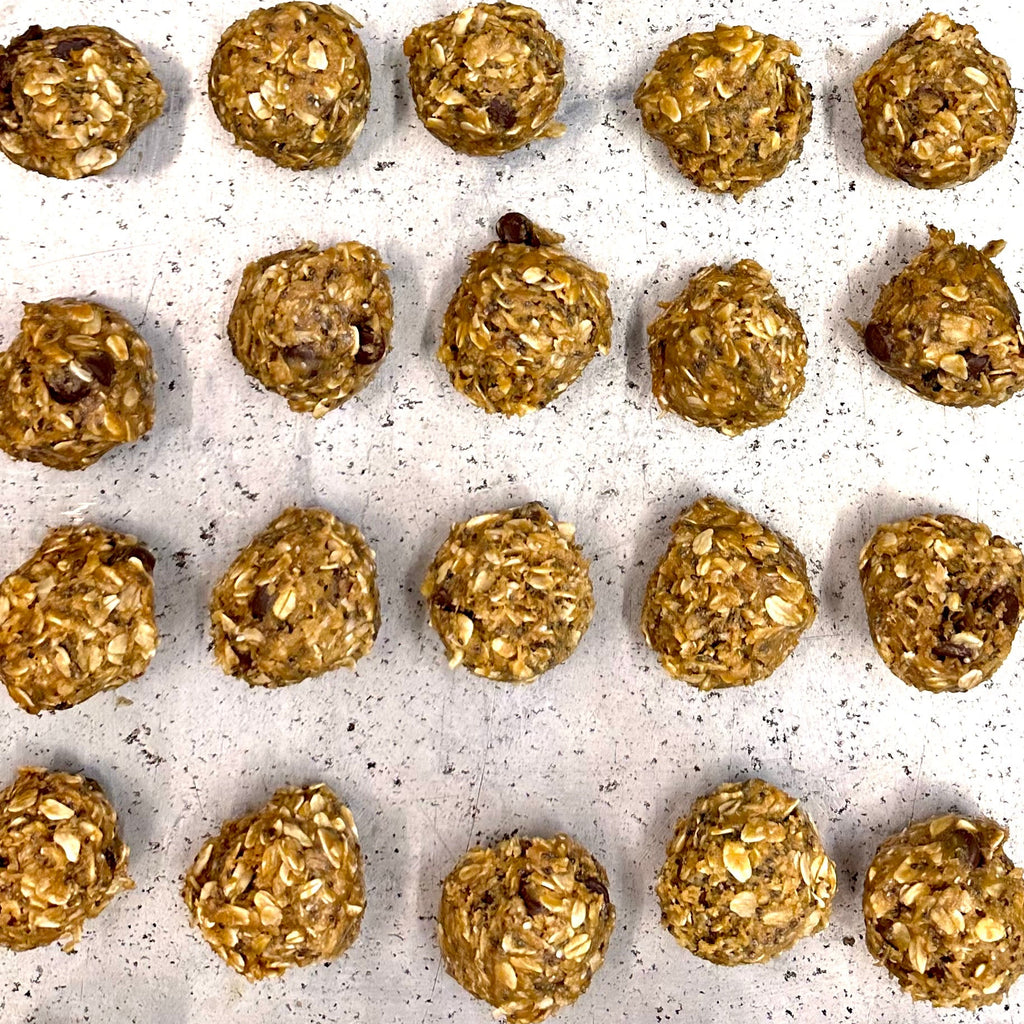 BEAST VILLAGE PROTEIN ENERGY BITES